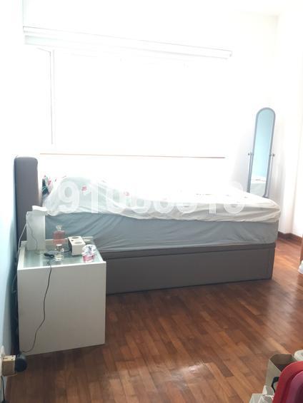 Evergreen Park (D19), Apartment #153403242